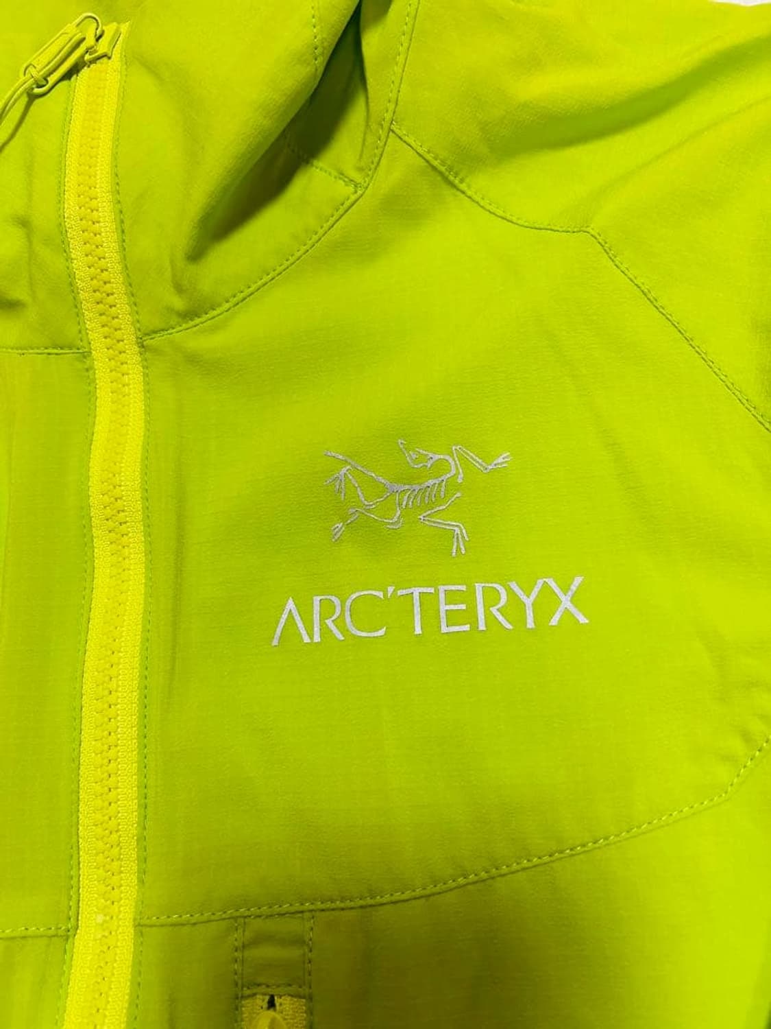 아크테릭스 스쿼미시 후디 상품이미지2