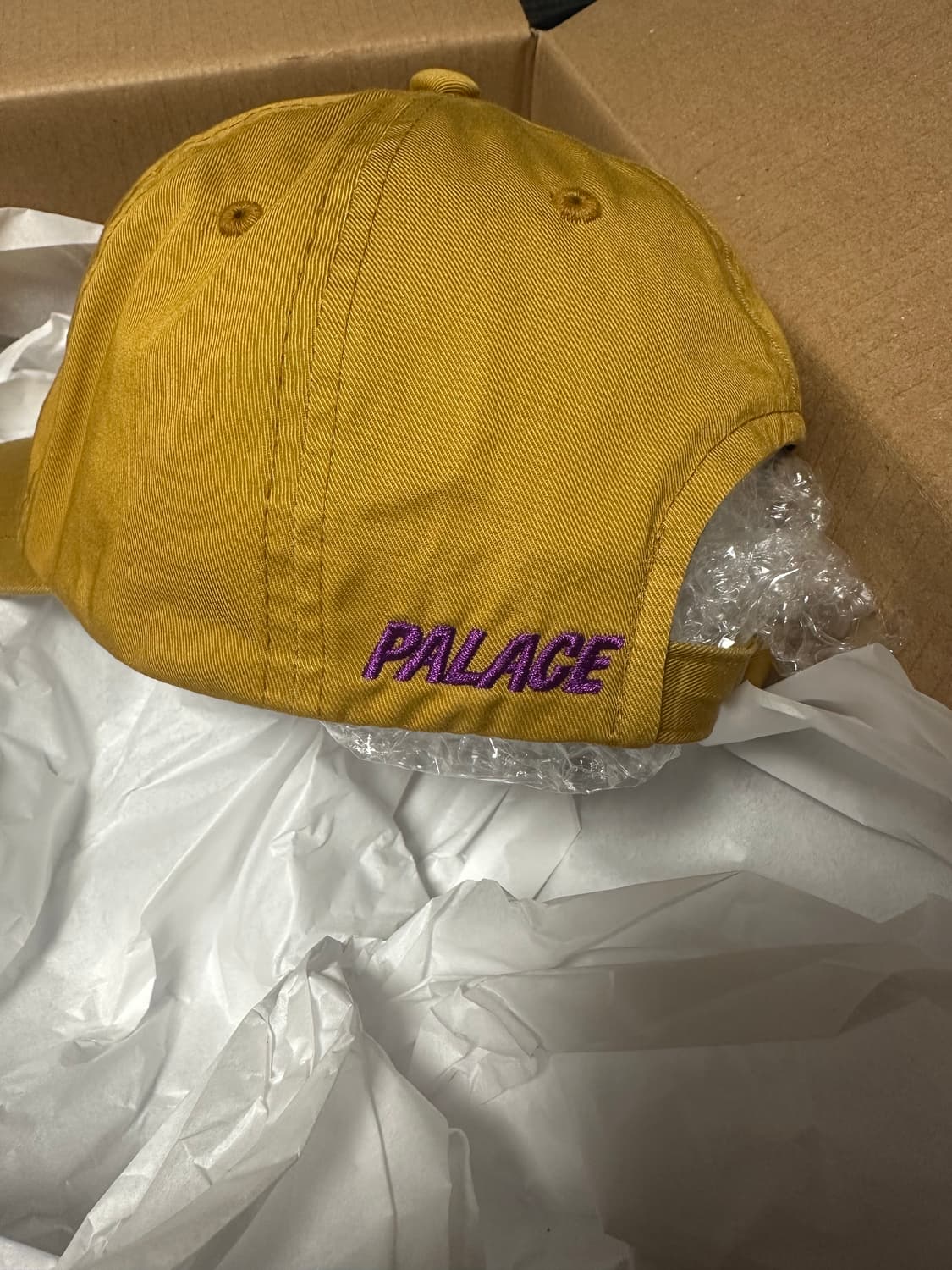 아크테릭스 팔라스 20fw 6패널 캡 골드 상품이미지2