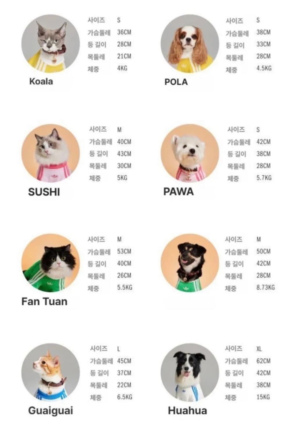 아디다스 펫 캘리 티셔츠 오프 화이트 XL 상품이미지5