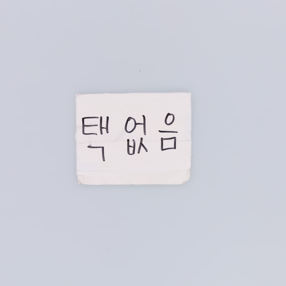 XXL 프린팅 반팔티 0414H1 상품이미지4