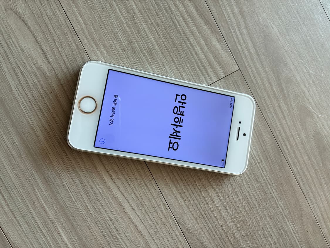 아이폰 5s 무음카메라 16기가 상품이미지2