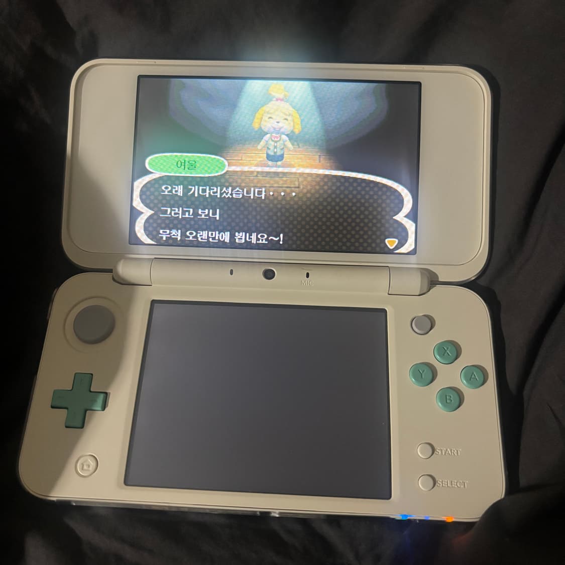 닌텐도 2DS XL 튀동숲 튀어나와요 동물의 숲 에디션 상품이미지4