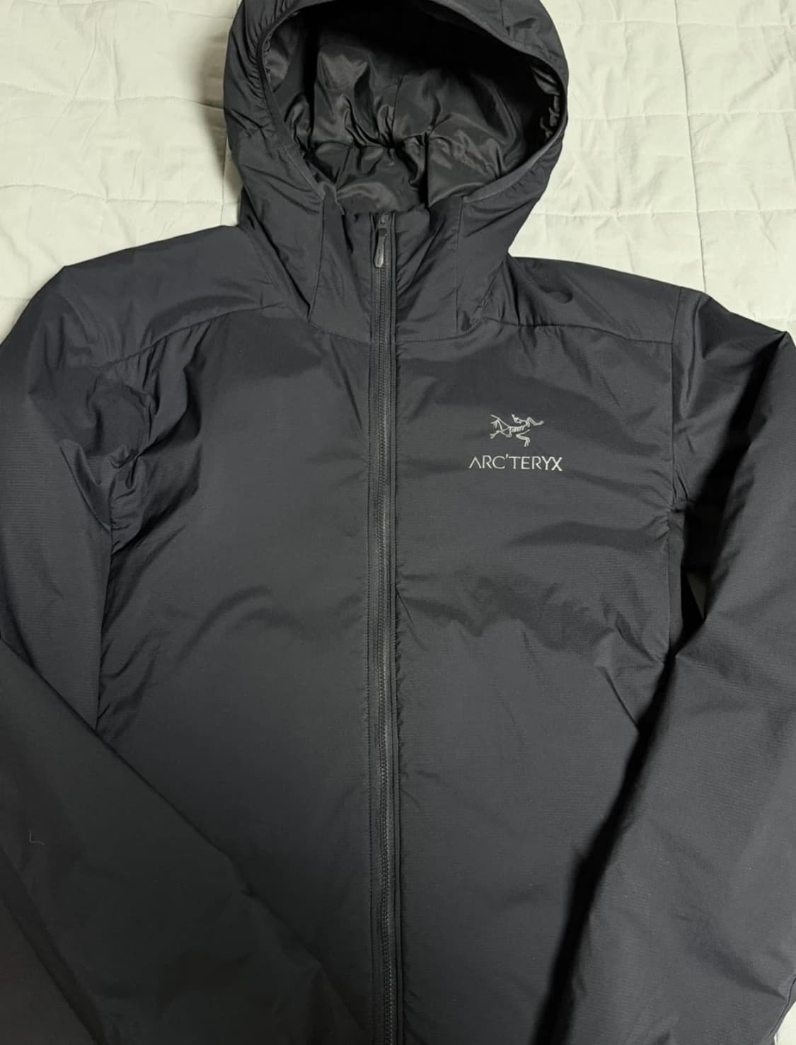 아크테릭스 아톰후디 lt M 상품이미지2