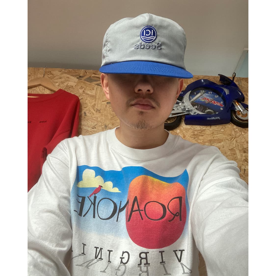 USA ICI Seeds 캡 상품이미지1