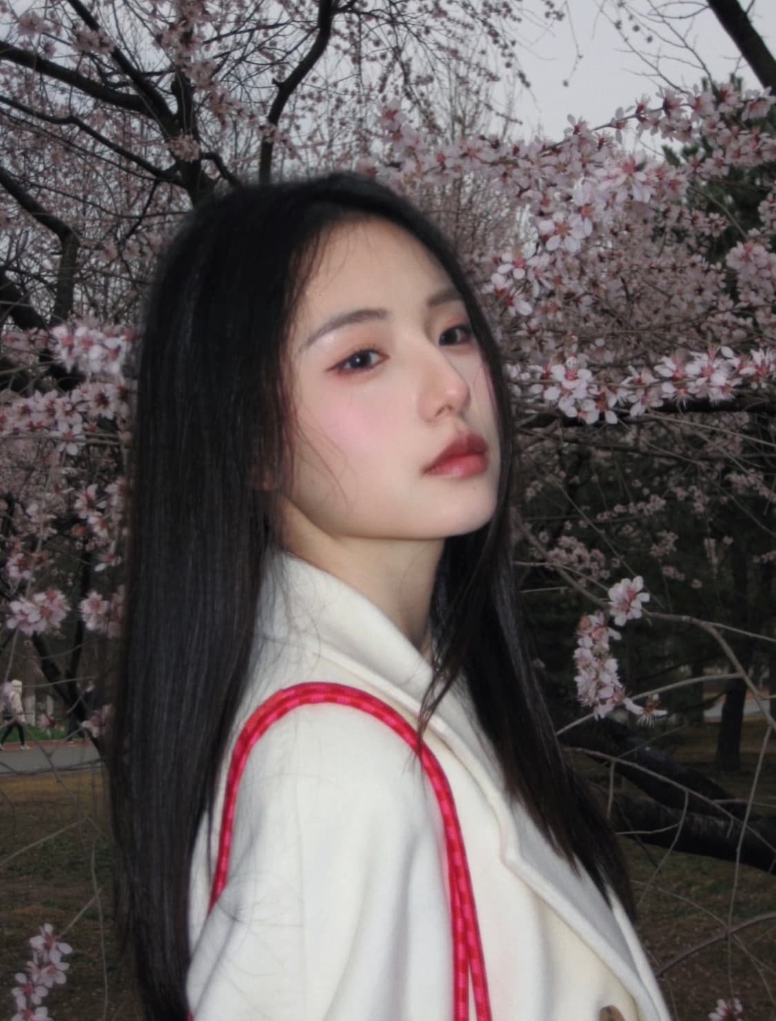 캐논 익서스 75 CANON IXUS 75 빈티지 디지털카메라 디카 상품이미지4