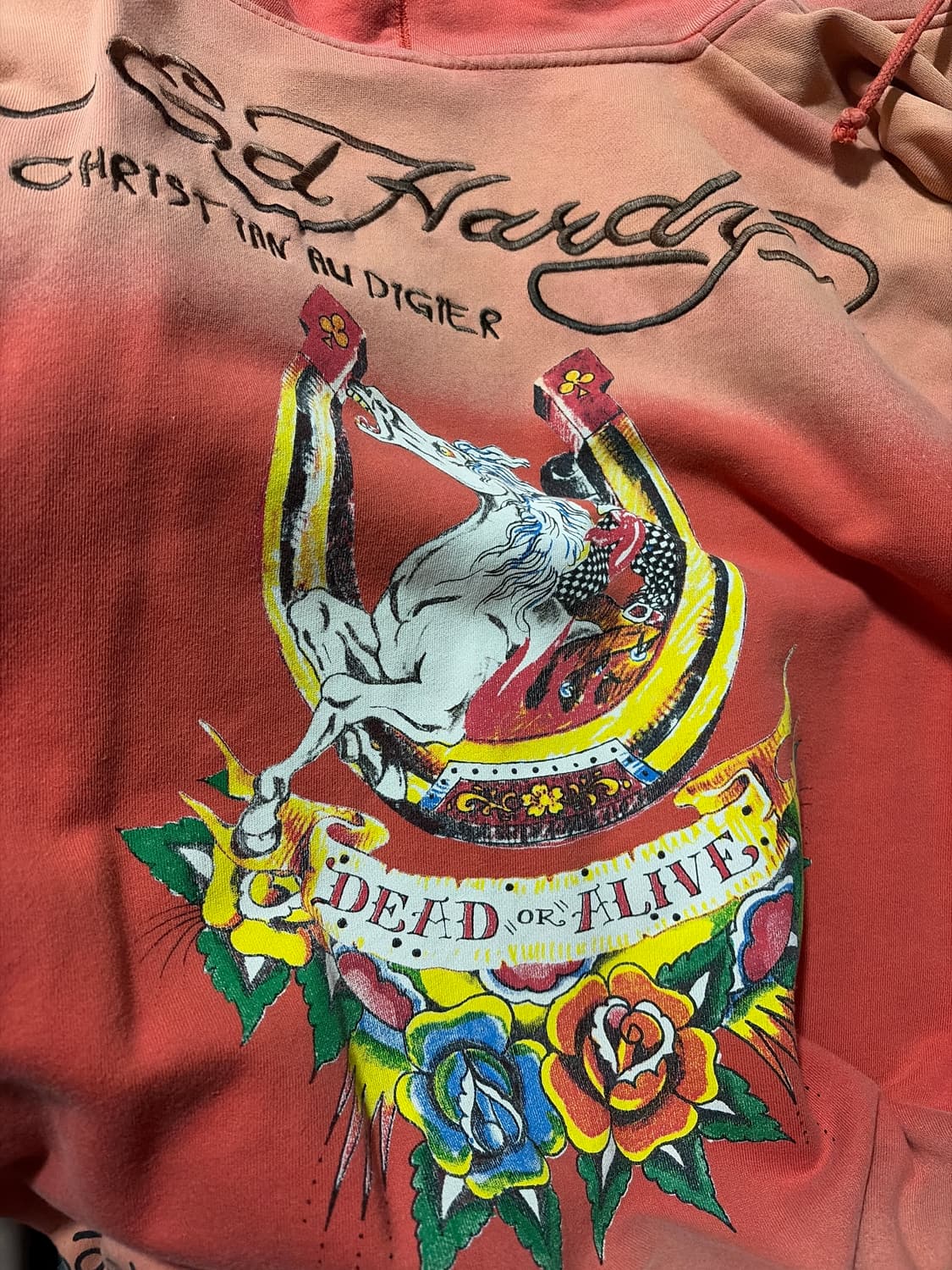 에드하디 후집 팝니다. 상품이미지2