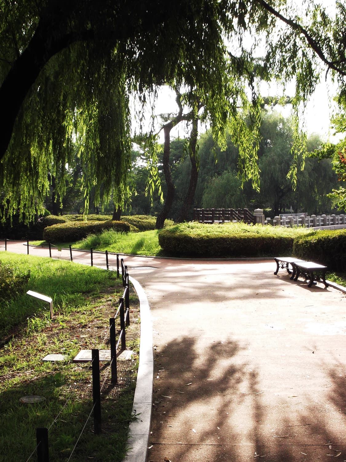 후지 파인픽스 l55 필름색감 상품이미지5