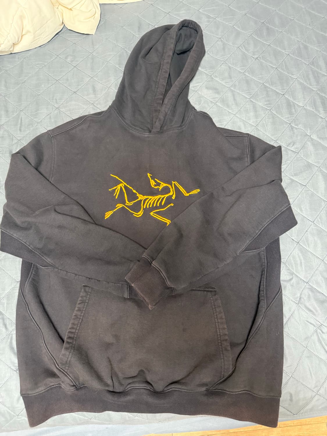 팔라스 아크테릭스 후드 상품이미지2