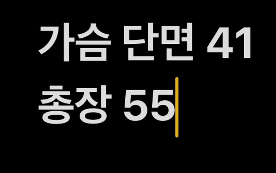 [ 정품/M,95 ] 스릭슨 나일론 골프 조끼 b16 상품이미지6
