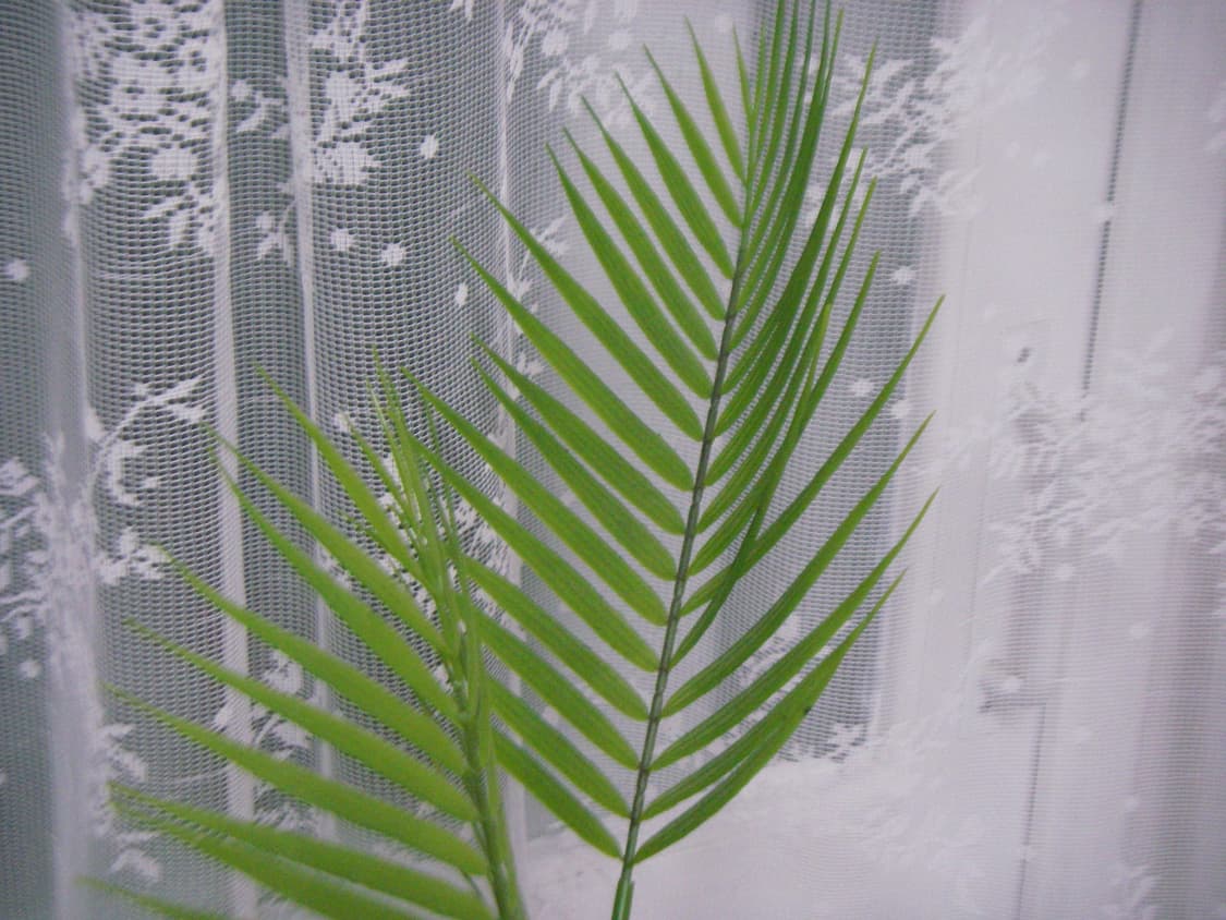 청량한 펜탁스 옵티오 w20 디카 판매합니다 상품이미지7