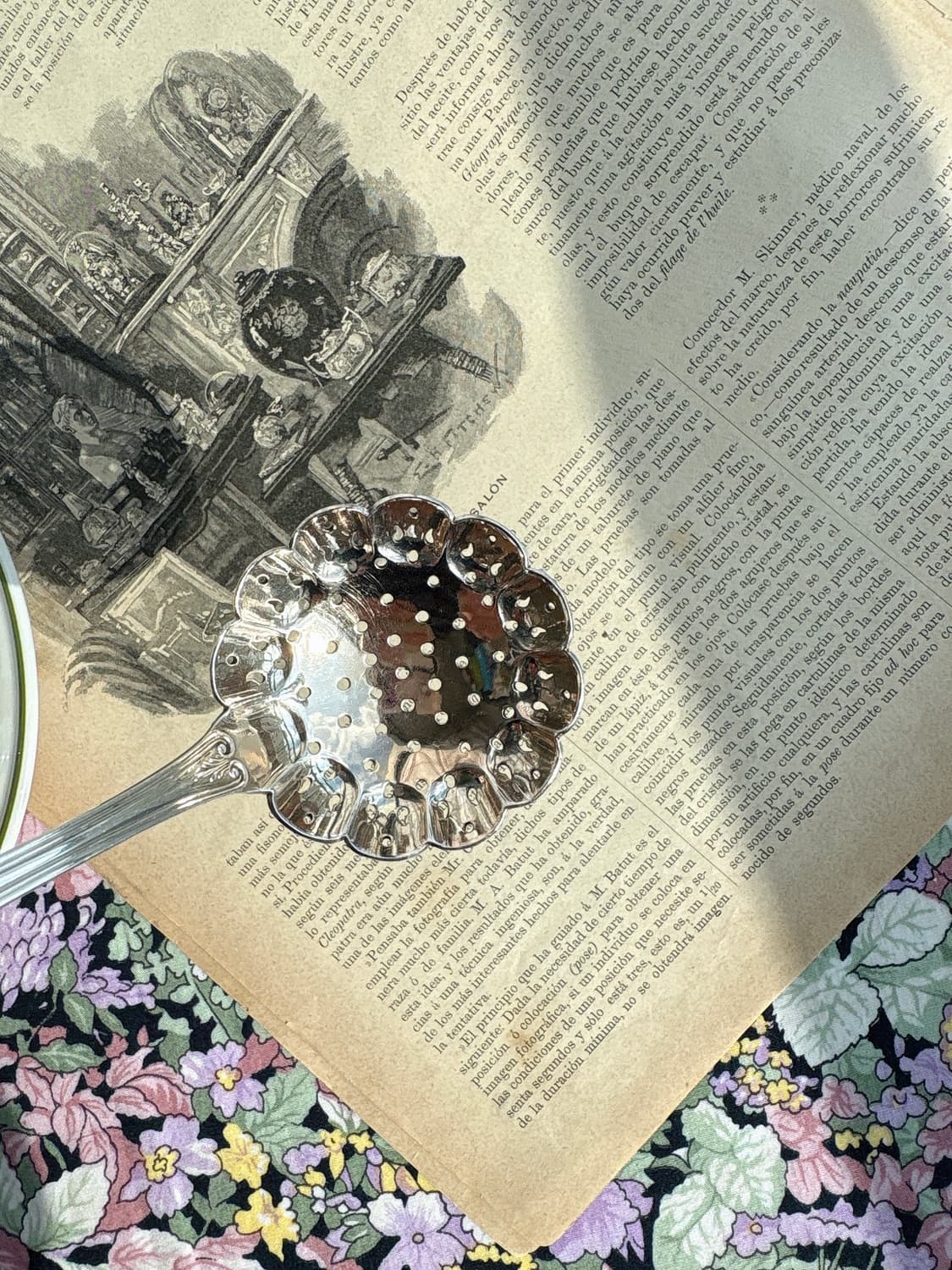 앤틱 실버플레이트 1847 ROGERS BROS 슈가 시프터 티스트레이너 상품이미지3