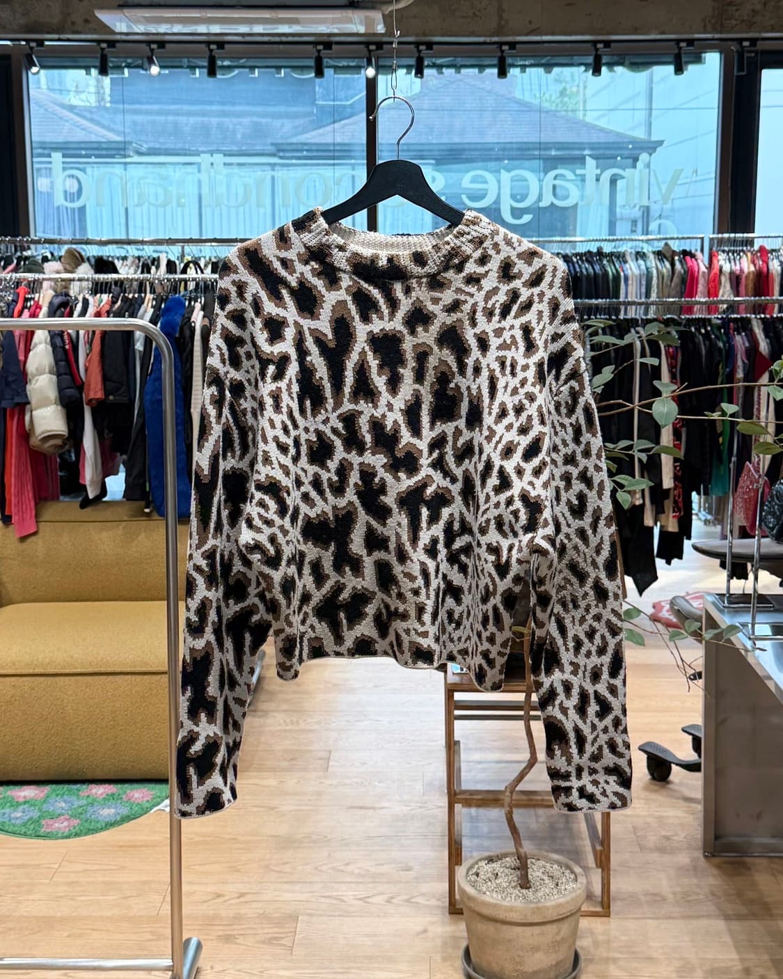 프로엔자 슐러 브라운 레오파드 니트  상품이미지1