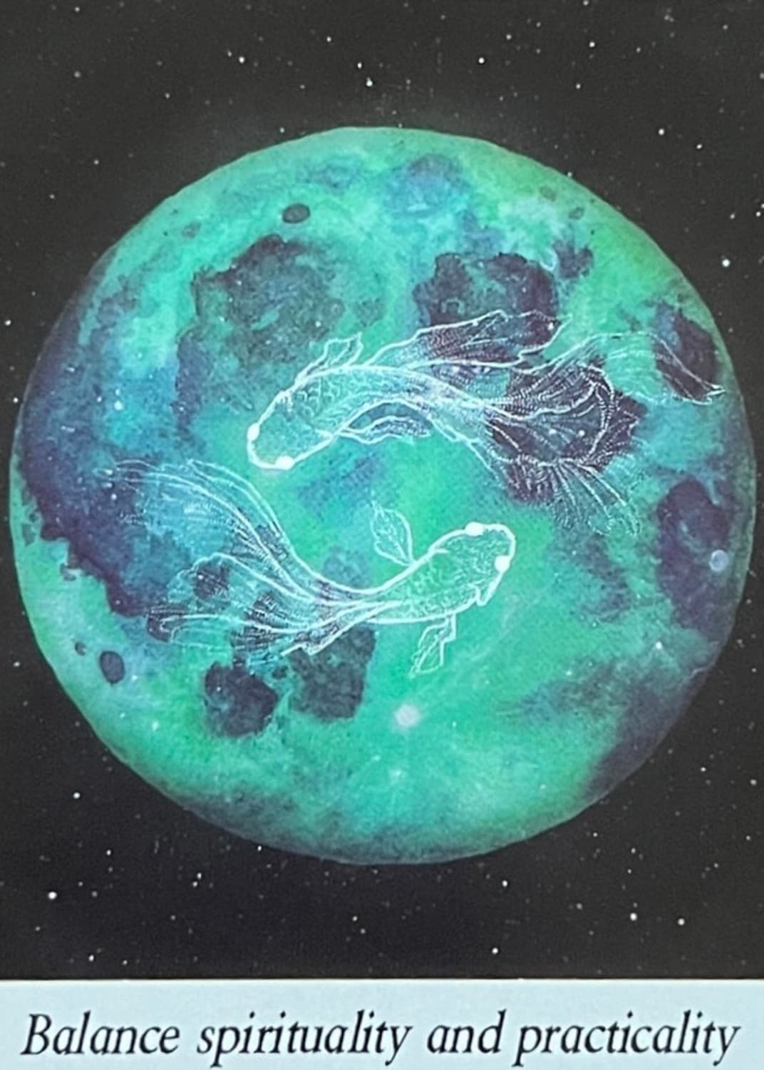 KangBoy 상품이미지1