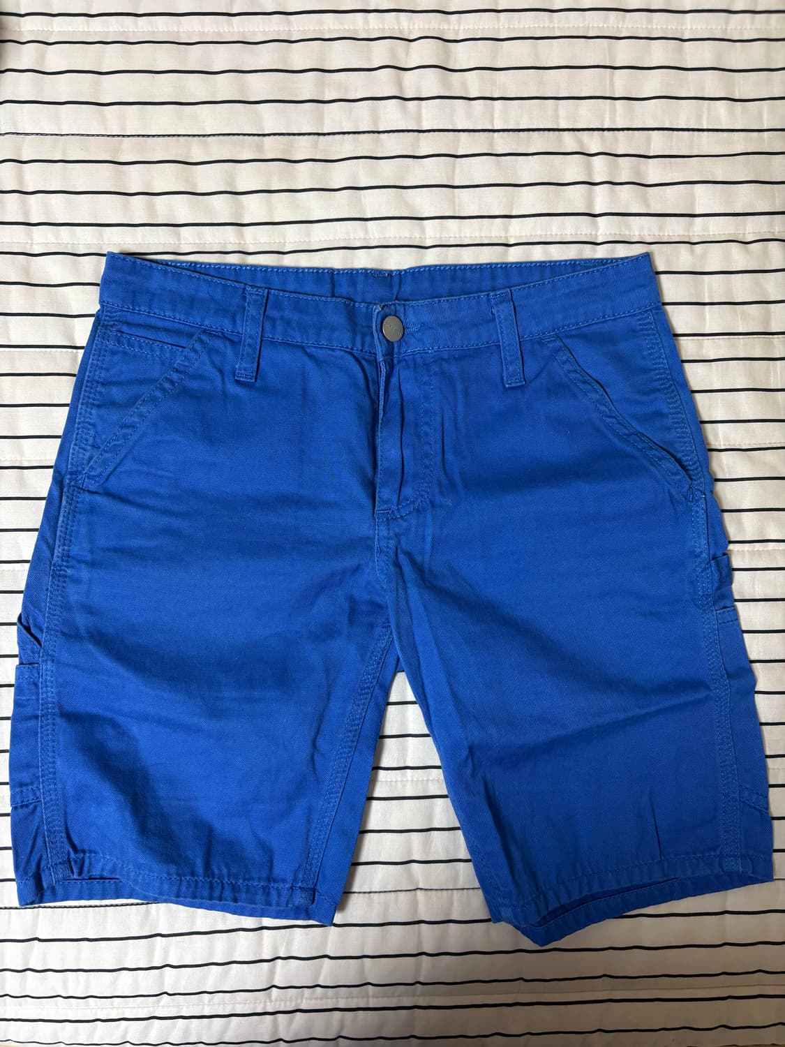 칼하트 워크팬츠 25 상품이미지2