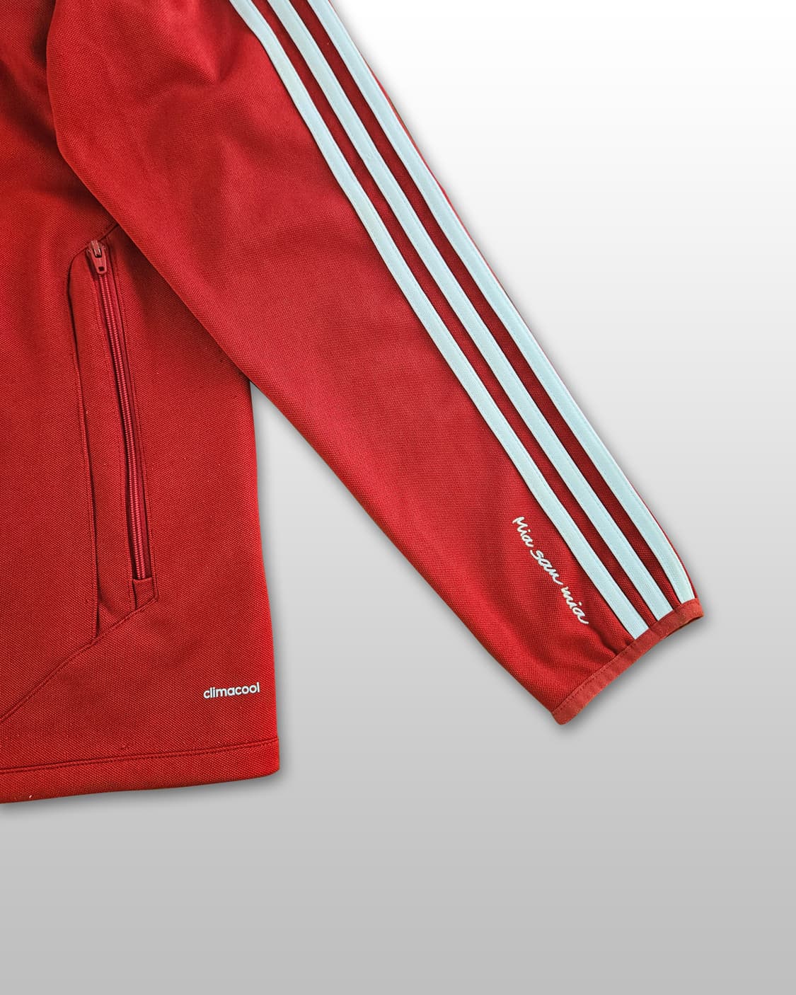 ADIDAS 아디다스 FC 바이에른 뮌헨 에디션 트레이닝 져지 상품이미지4