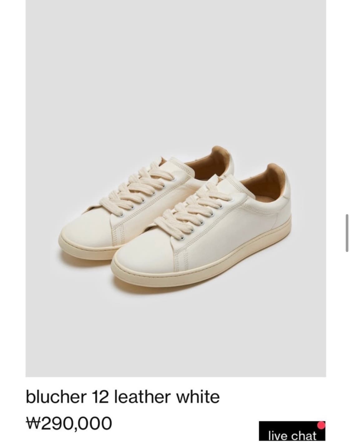 블루처12 시착만 해본 제품 판매합니다. (250) 상품이미지1