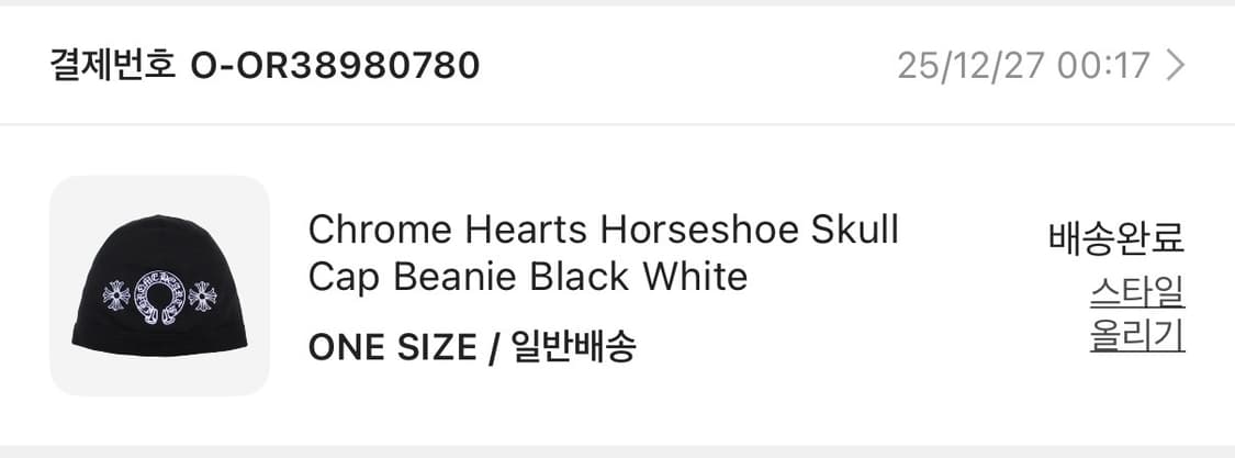 크롬하츠 홀스슈 스컬 캡 비니 상품이미지2