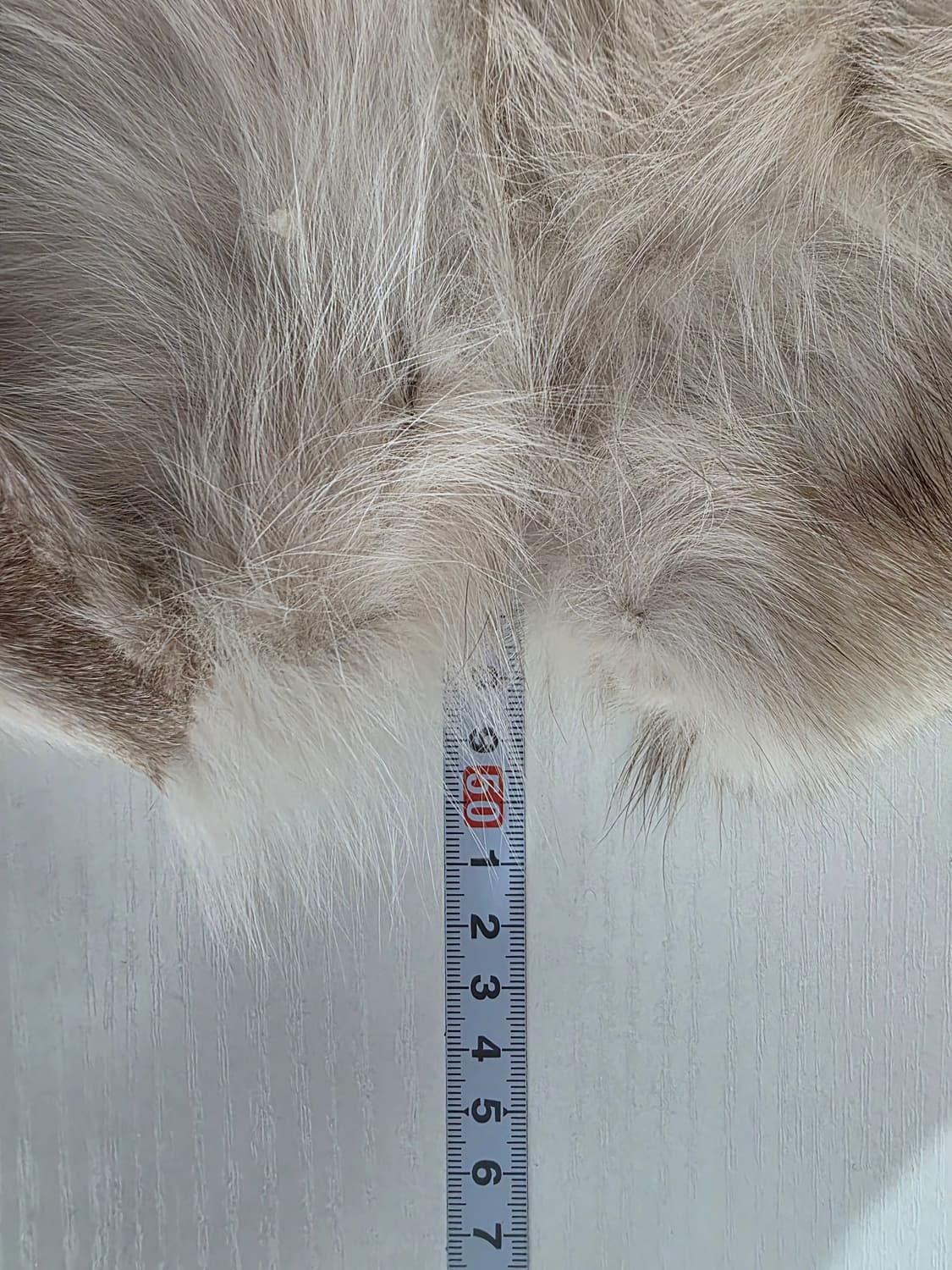 무자크 여우털 베스트 85 상품이미지6