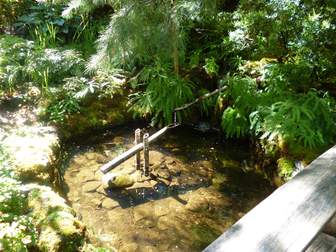 (준민트급) 파나소닉 루믹스 DMC-FH6 핑크 디카 상품이미지10