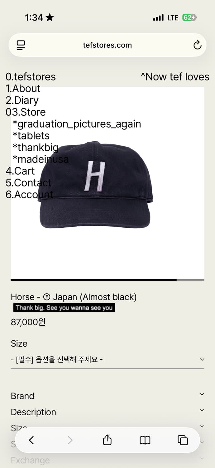 테프스토어즈 새상품 M  상품이미지1