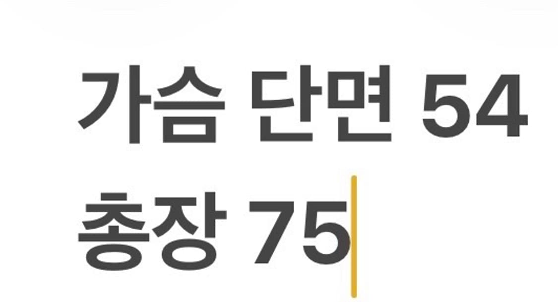 [정품/XL] 폴로 랄프로렌 네이비 카라티 셔츠 b19 상품이미지6