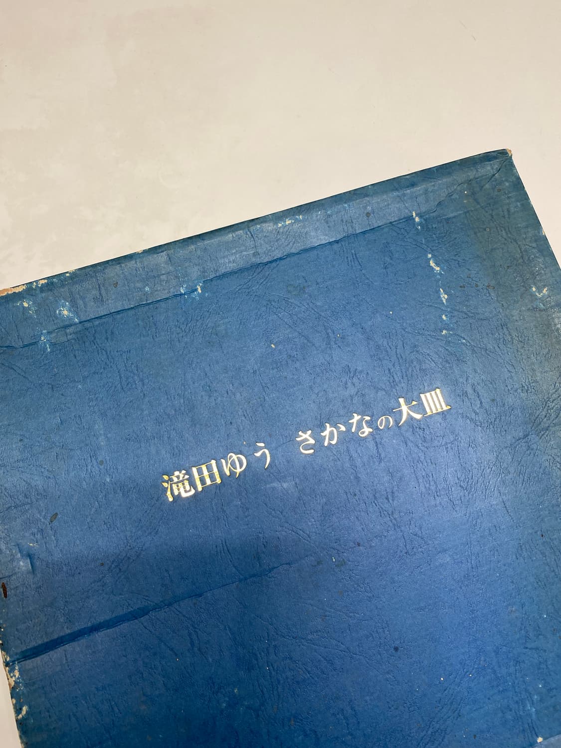 일본 물고기 그림 접시 그릇 상품이미지4