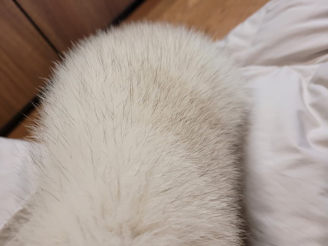 온앤온 폭스퍼패딩66 상품이미지8