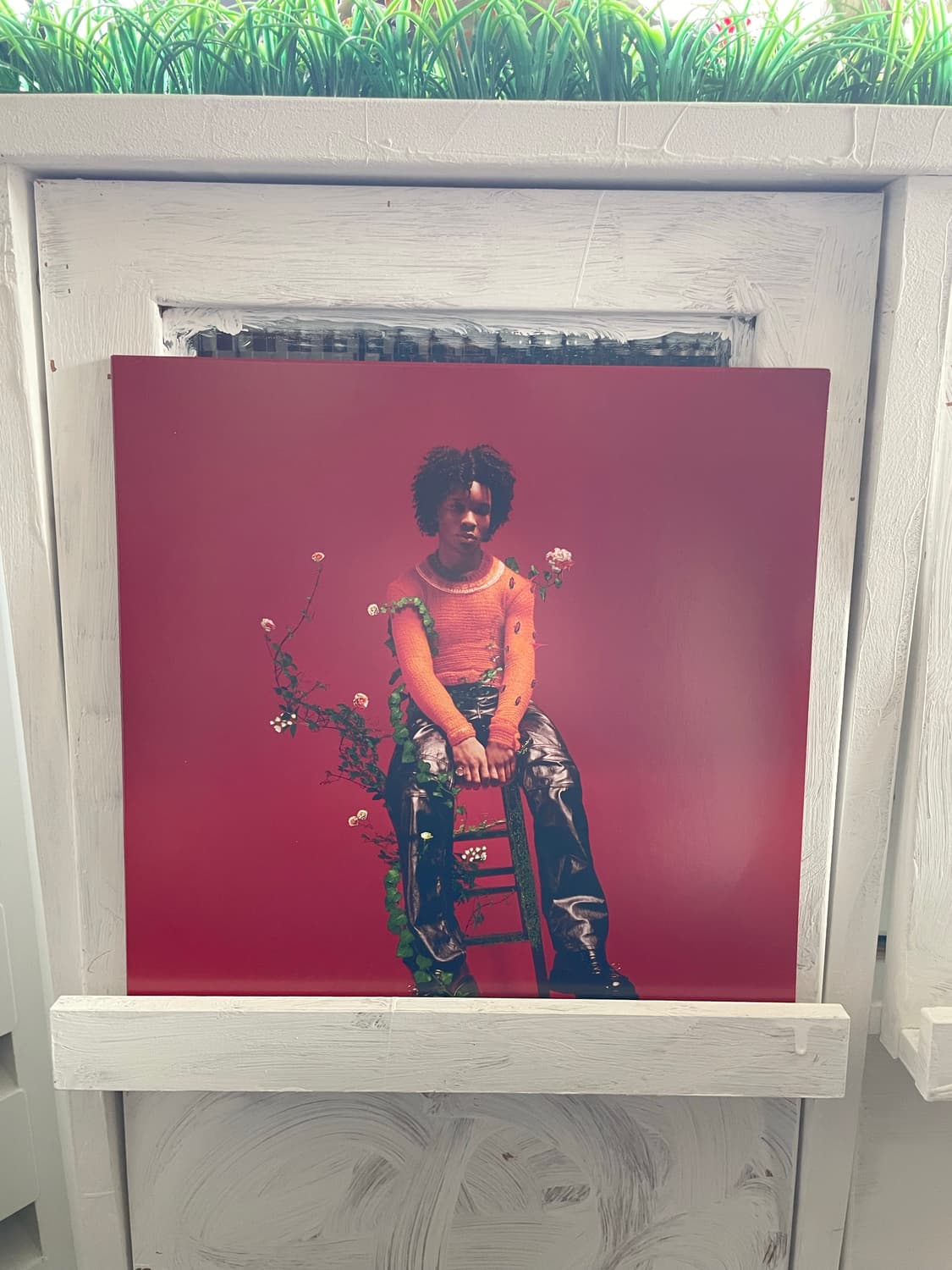 d4vd LP 상품이미지1