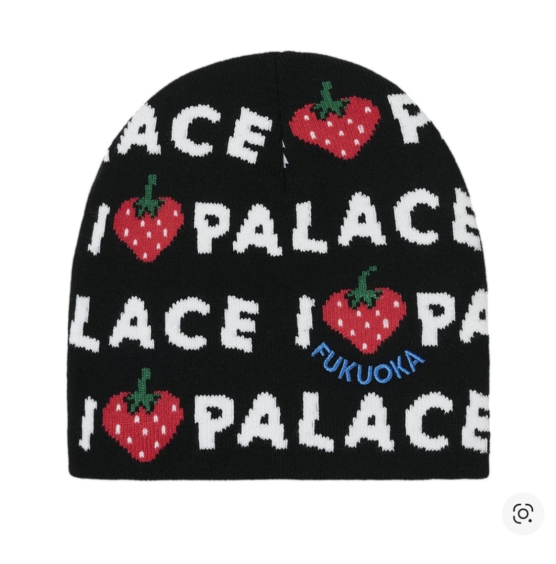 팔라스 후쿠오카 비니 상품이미지1