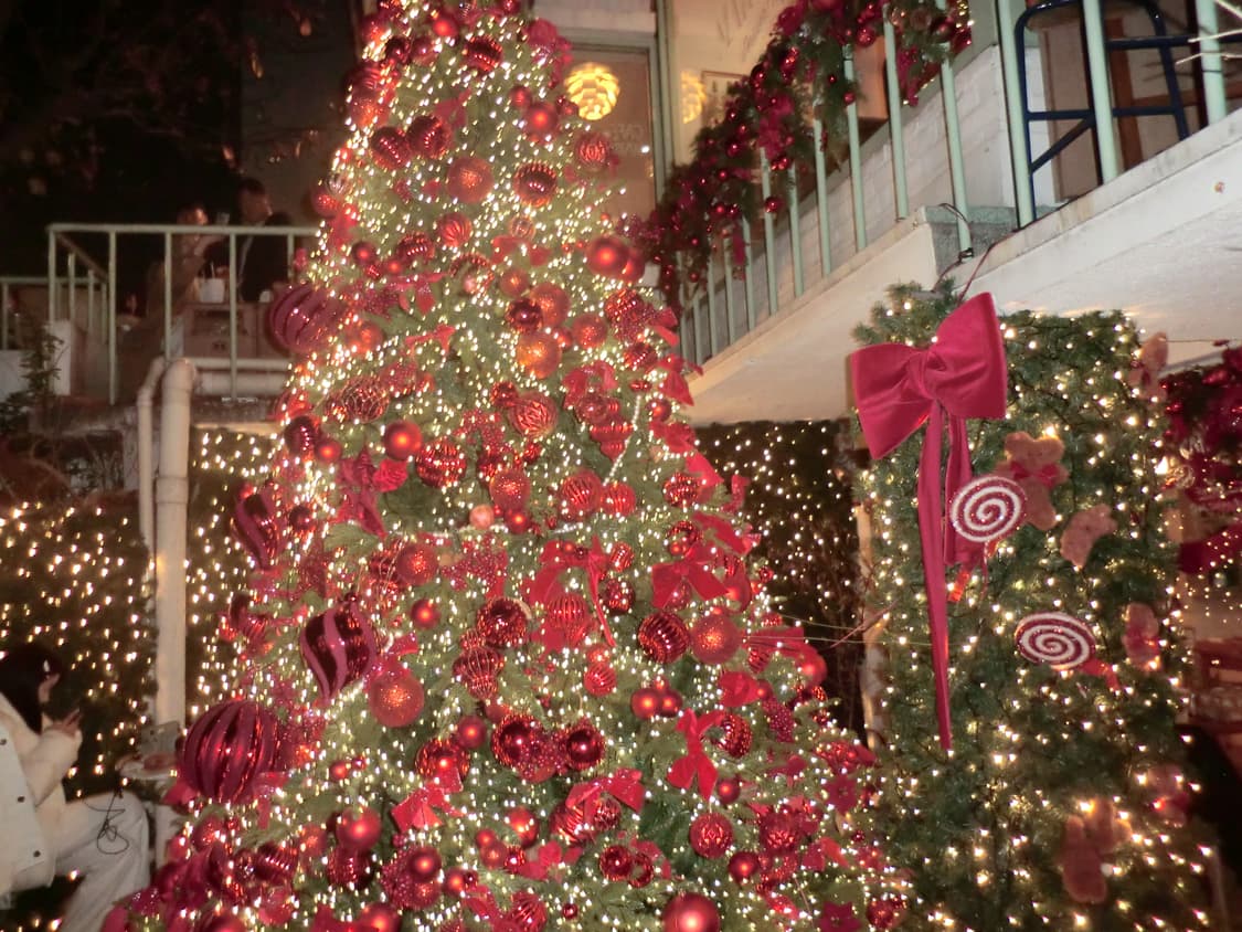 카시오 엑슬림 Casio exilim z800 핑크 풀박스(작례 O) 상품이미지8