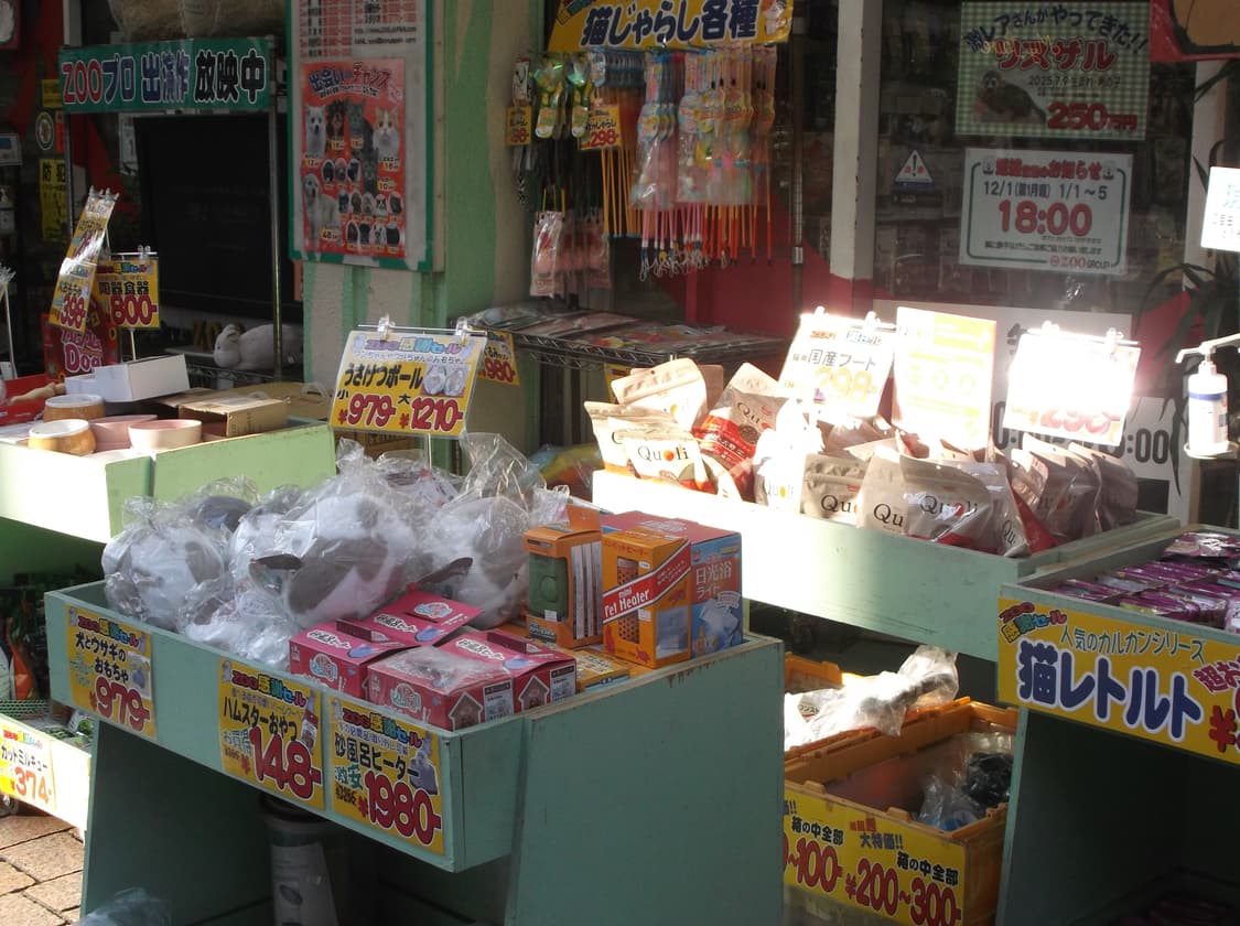 색감 좋은 빈티지 디카 후지 jx680 카메라 작례o 상품이미지7