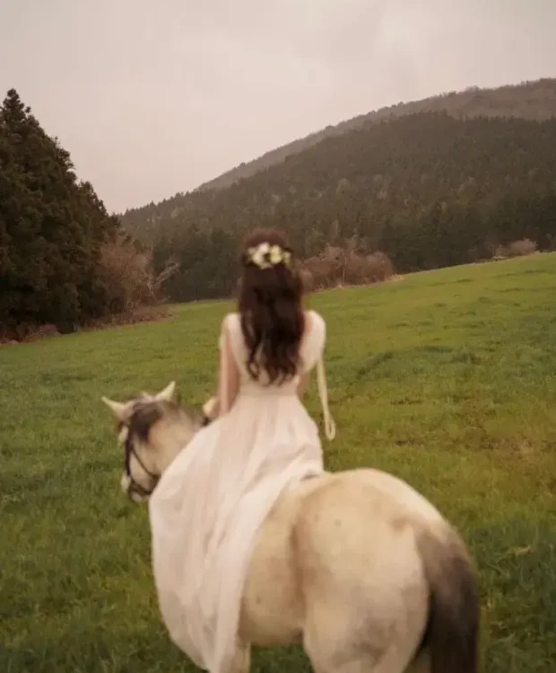 라벨르블랑 다프네 M 상품이미지4