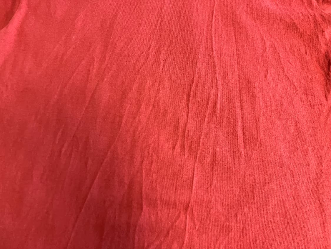 빈티지 USA 90s 프룻오브더룸 싱글스티치 피싱 물고기 티셔츠 L 상품이미지5