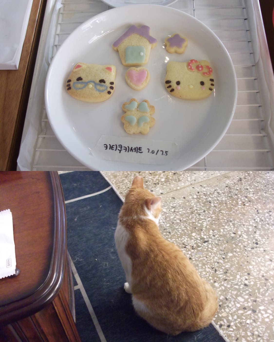 블러리/뽀용한느낌🤍FUJIFILM FINEPIX JV100 후지필름 상품이미지6