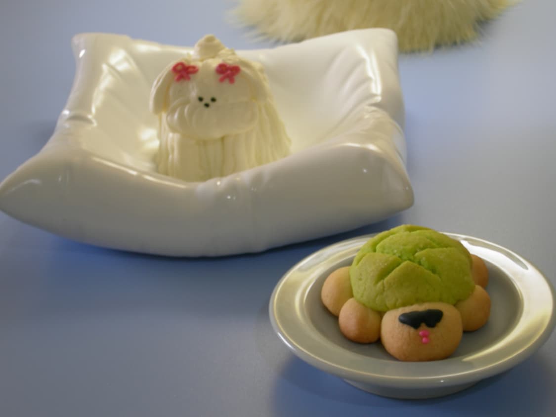 니콘 쿨픽스 P1 Nikon coolpix p1(작례O) 상품이미지8