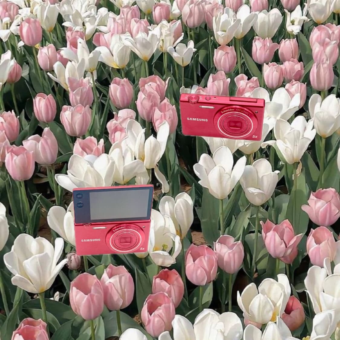 셀카&미러팝!) Samsung MV800 디카 카메라 상품이미지1