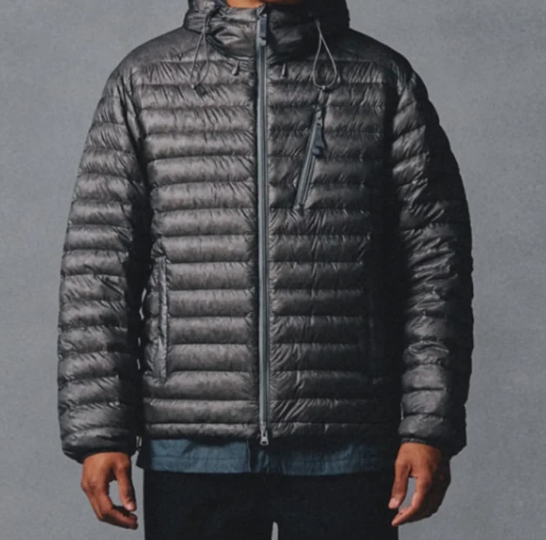 (새상품) 26s/s 헤지스 구스 경량패딩 상품이미지2