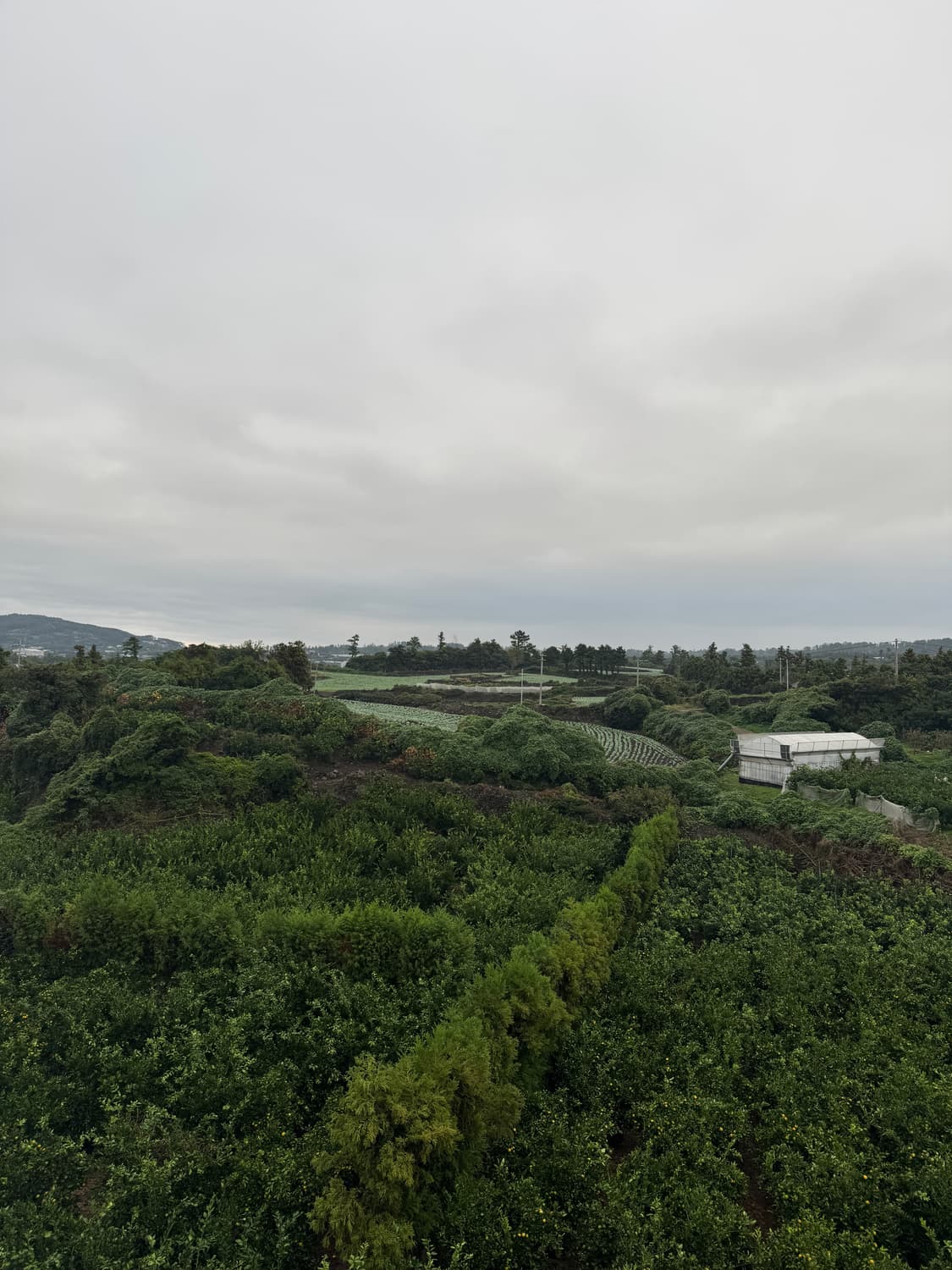 개인결제창 상품이미지1