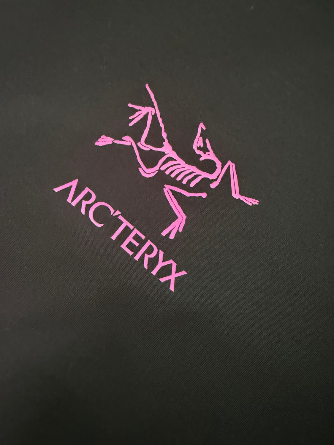 아크테릭스 시스템 A 코팔 버드 티셔츠 블랙 울트라 바이올렛 XL 상품이미지5