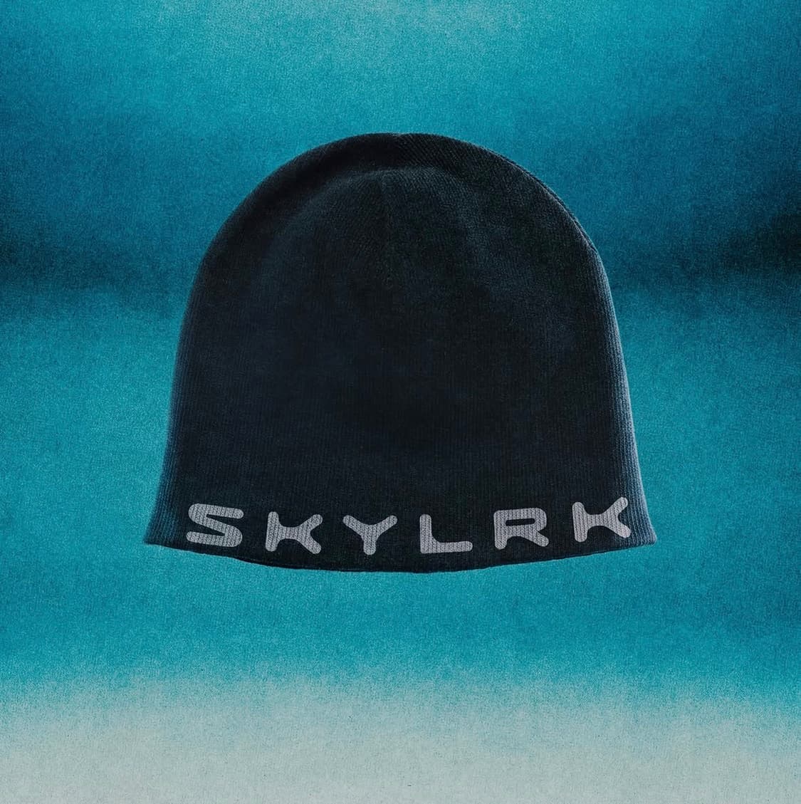 SKYLRK 스컬캡 비니 상품이미지1
