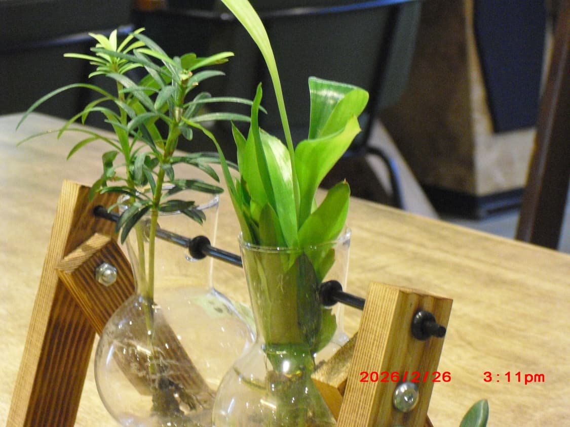 카시오 엑슬림 EX-Z1(작례있음) 상품이미지7