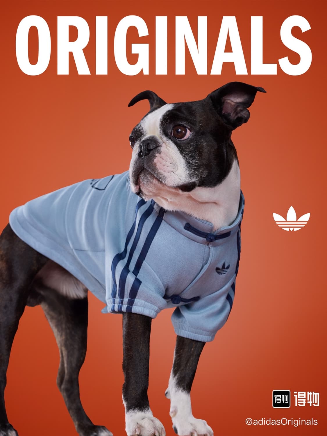 아디다스 강아지 고양이 옷 중티다스 상품이미지3