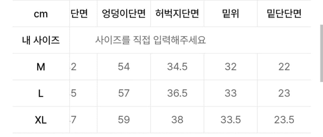 (피로 착용)엑스트라오디너리 레이저 커브 팬츠 상품이미지6