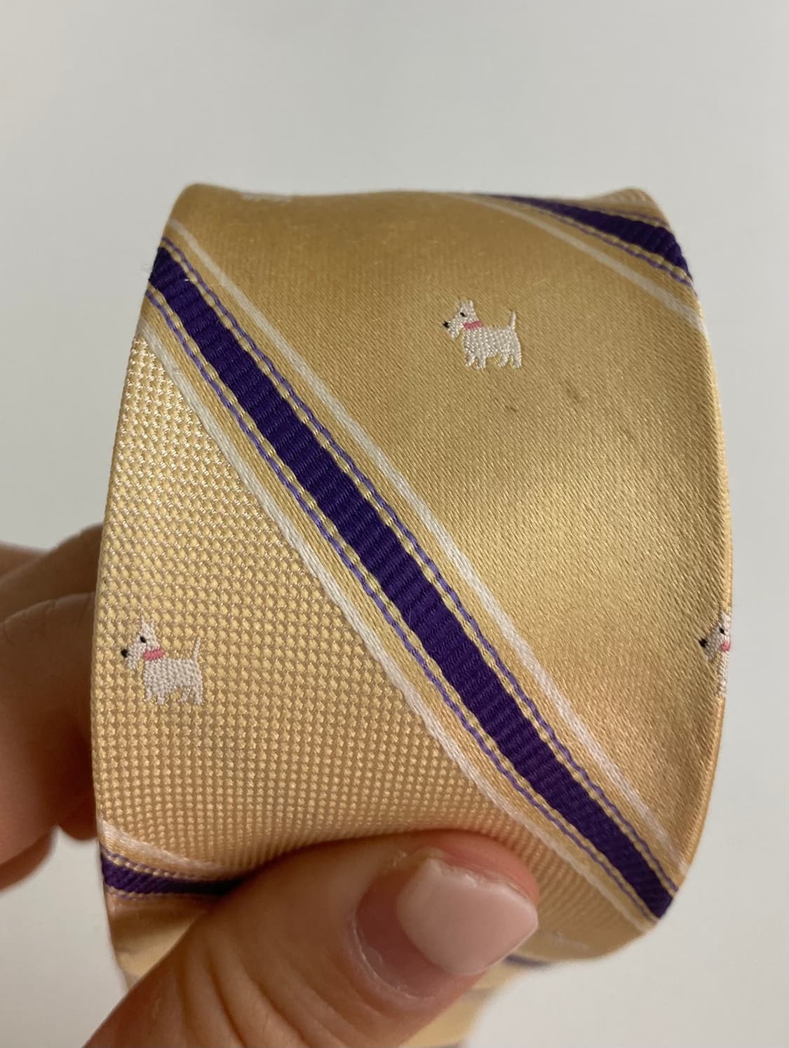 챕스 넥타이 상품이미지6