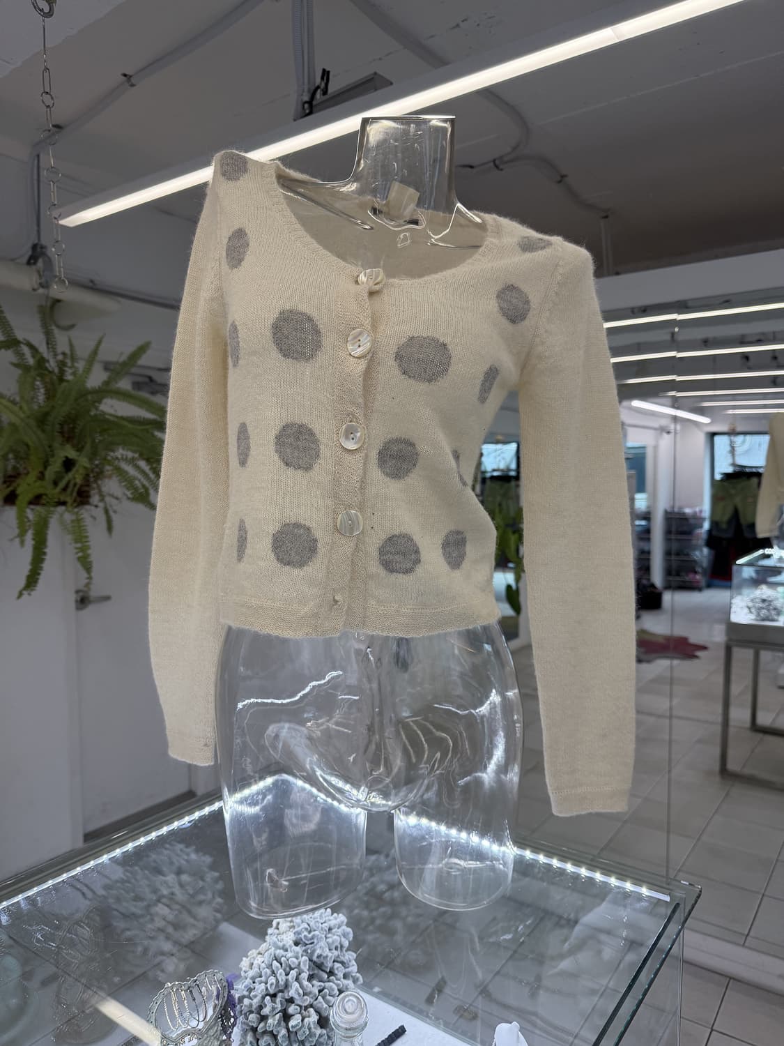 ALDRIDGE JEUNE 상품이미지1