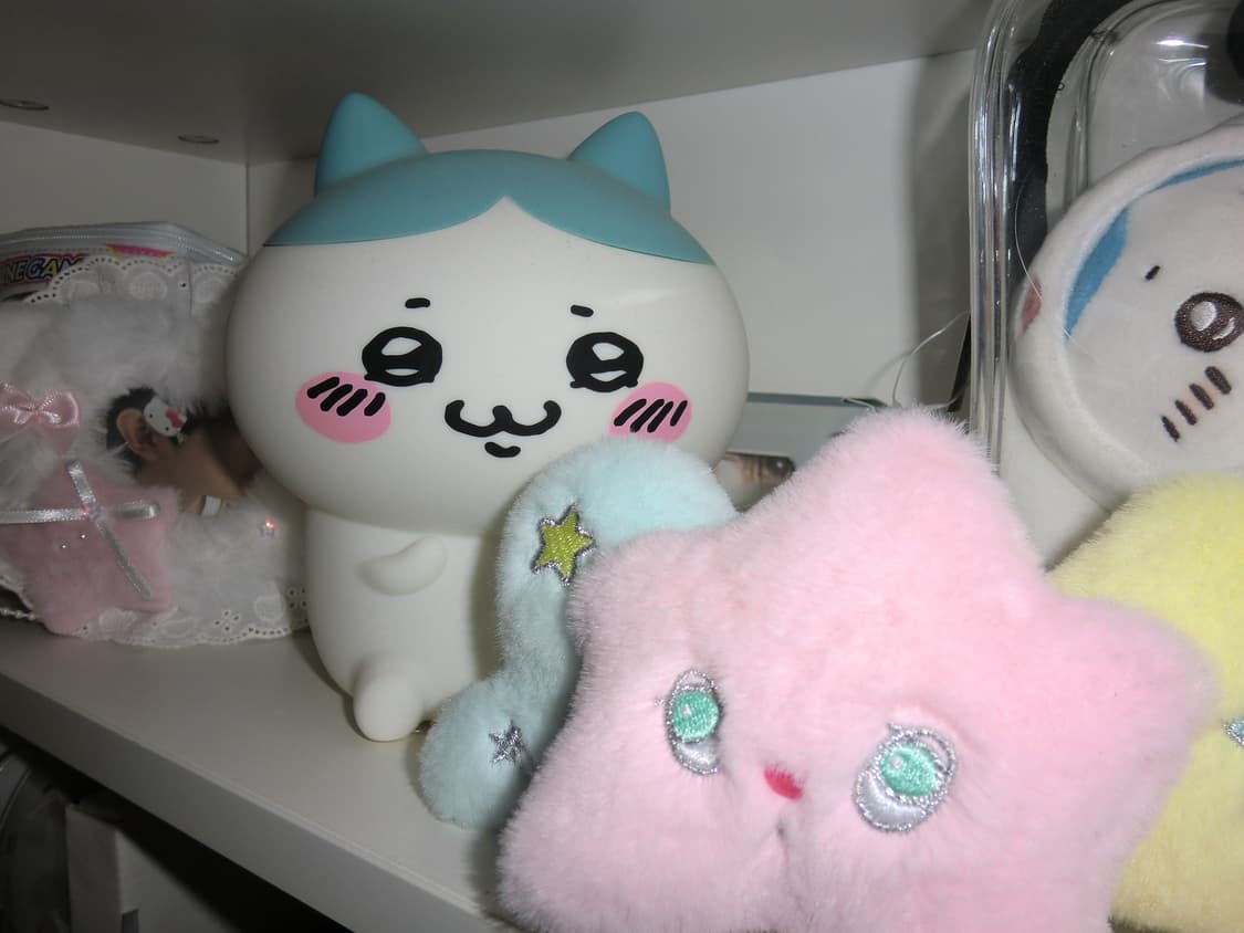 casio ex-z2000  디카 상품이미지5