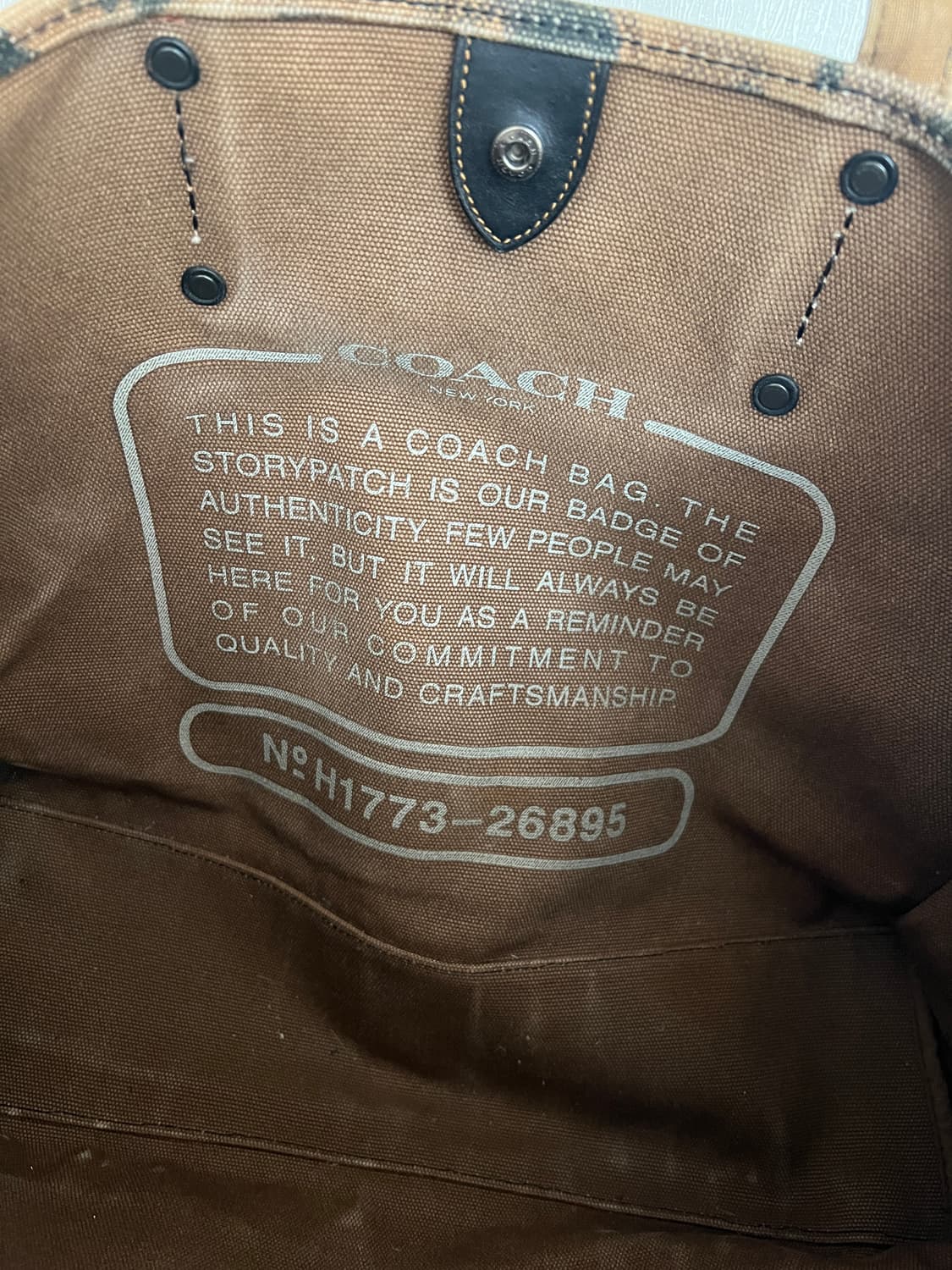 COACH Wild Beast Rexy Canvas Tote Bag 상품이미지8