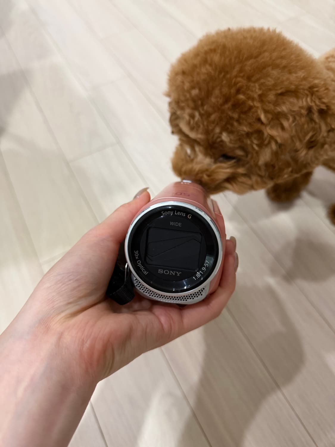 SONY 소니 CX670V 32GB 레트로 감성 빈티지 비디오 카메라 상품이미지1