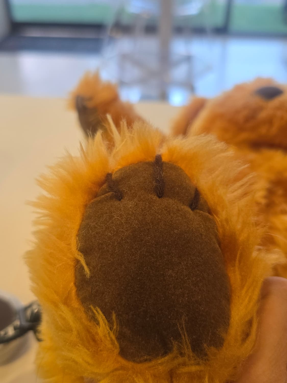 코팽칼린 테디베어 상품이미지6