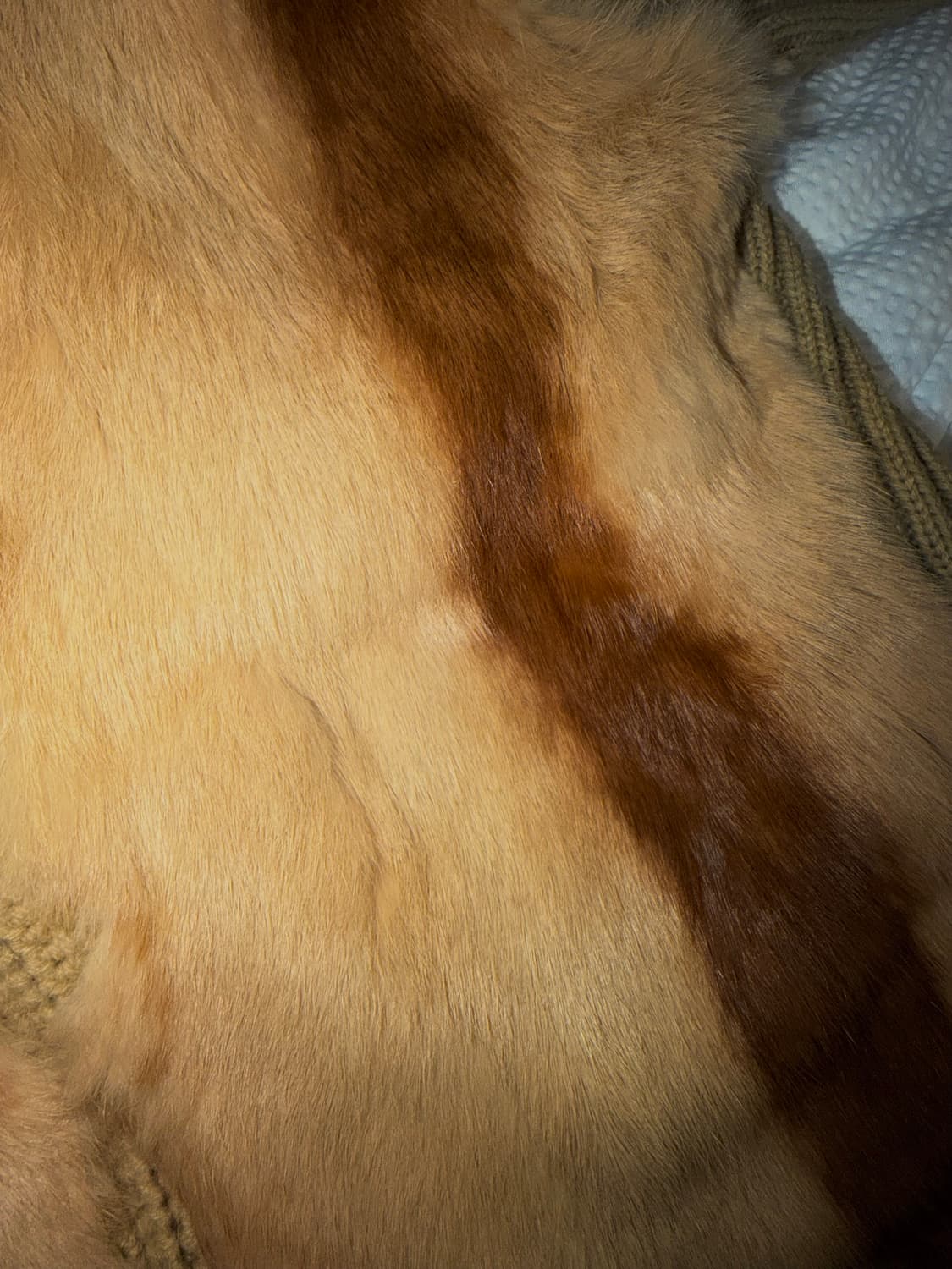 vintage 퍼 니트집업 자켓 상품이미지3